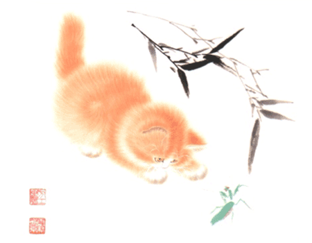 xin_090302171151843107217.gif