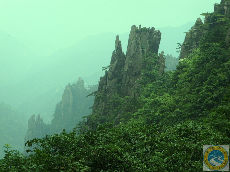 黄山美景11