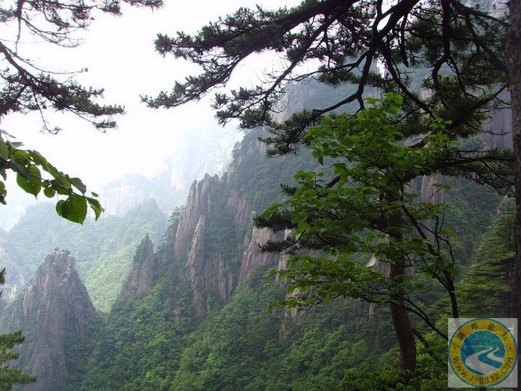 黄山美景1