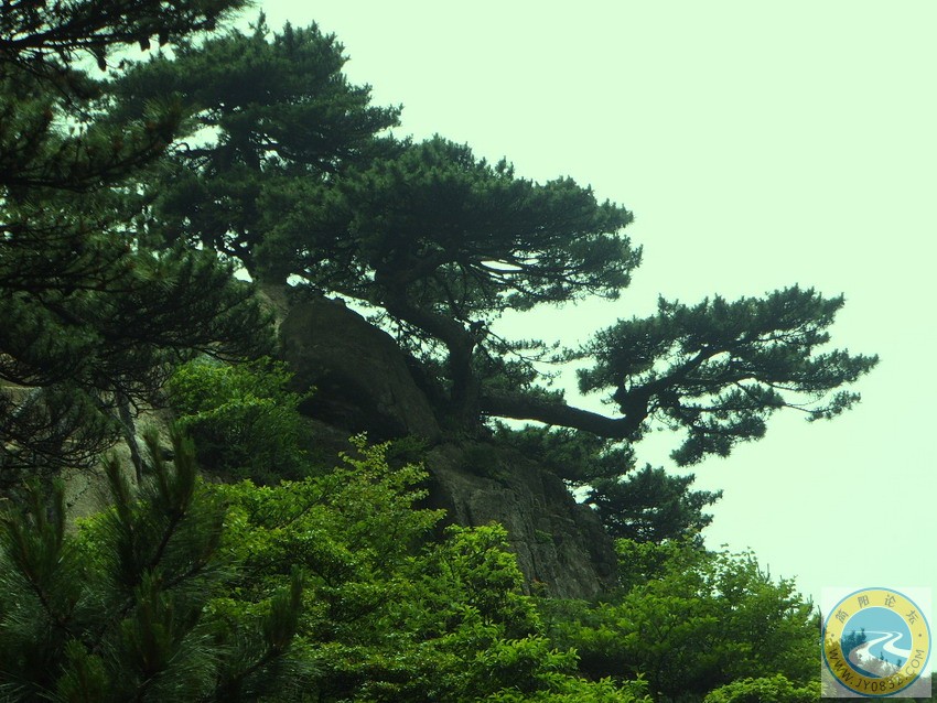 黄山美景6