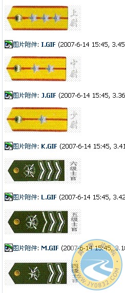 硬肩章2.jpg
