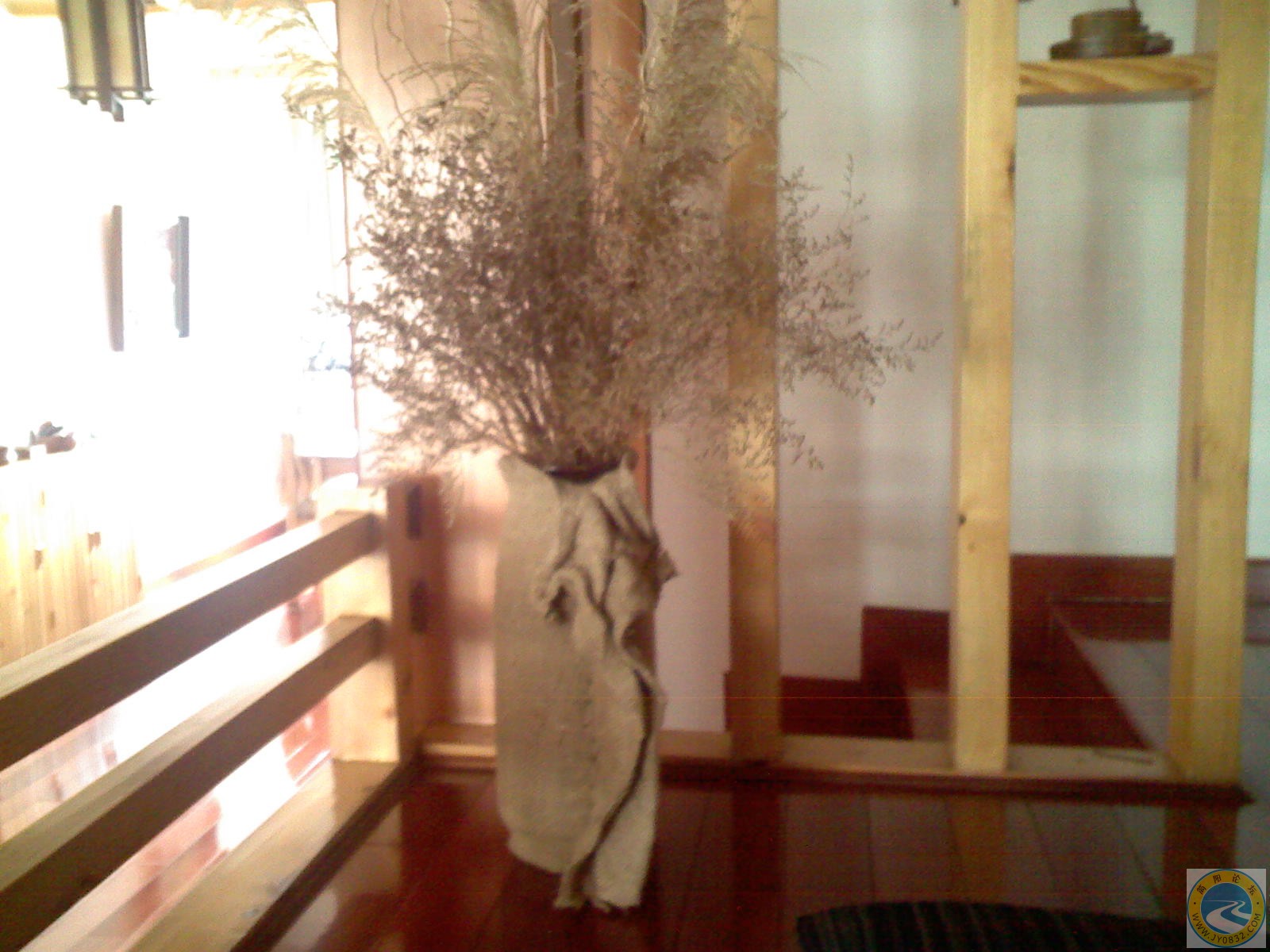 PIC00055.JPG