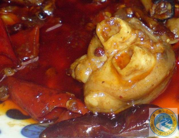 DSC00560.JPG