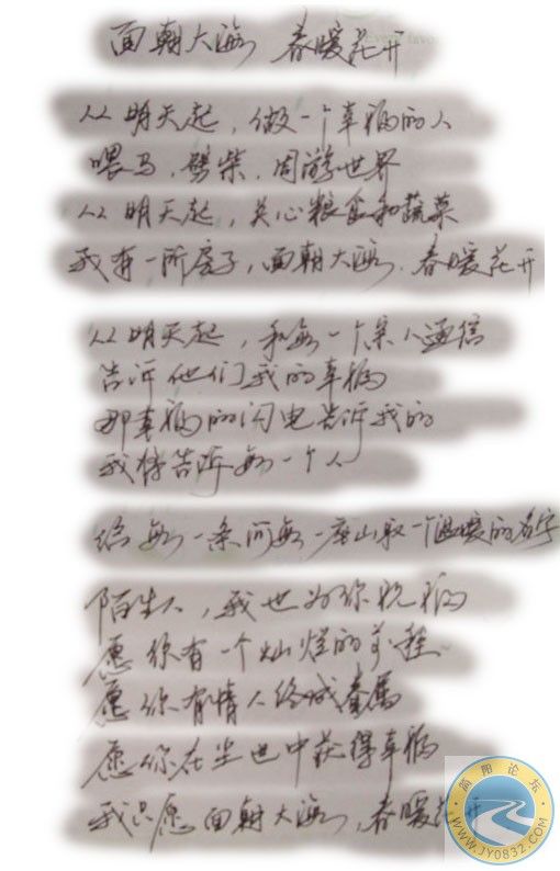 mianzhaodahai-chunnuanhuakai.jpg