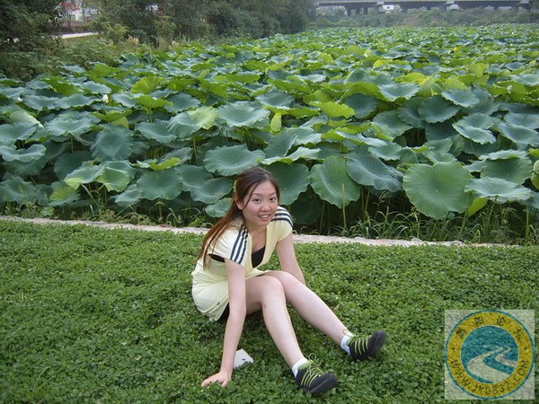 妖精4jpg.jpg