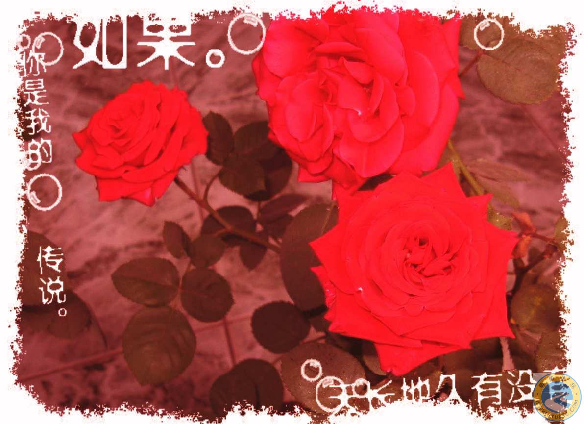 IMG_01771.jpg