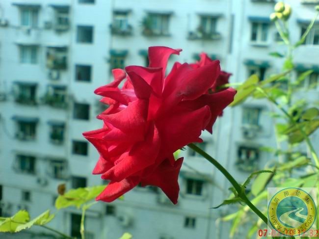 DSC00593.JPG