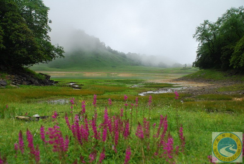 DSC_0251.jpg
