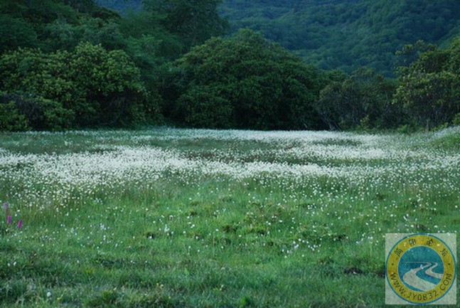 DSC_0410.jpg