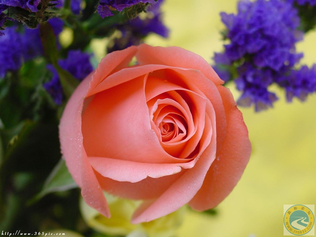love-093.jpg