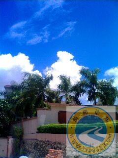 IMG0101A.jpg