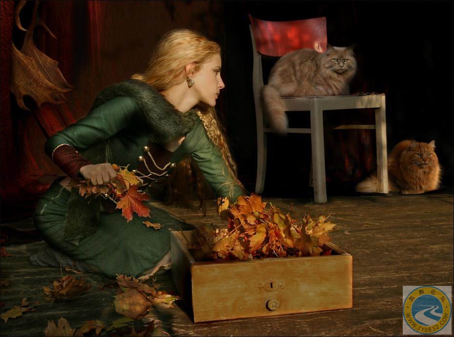 39.jpg