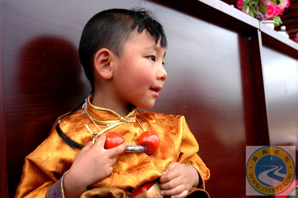 纯
