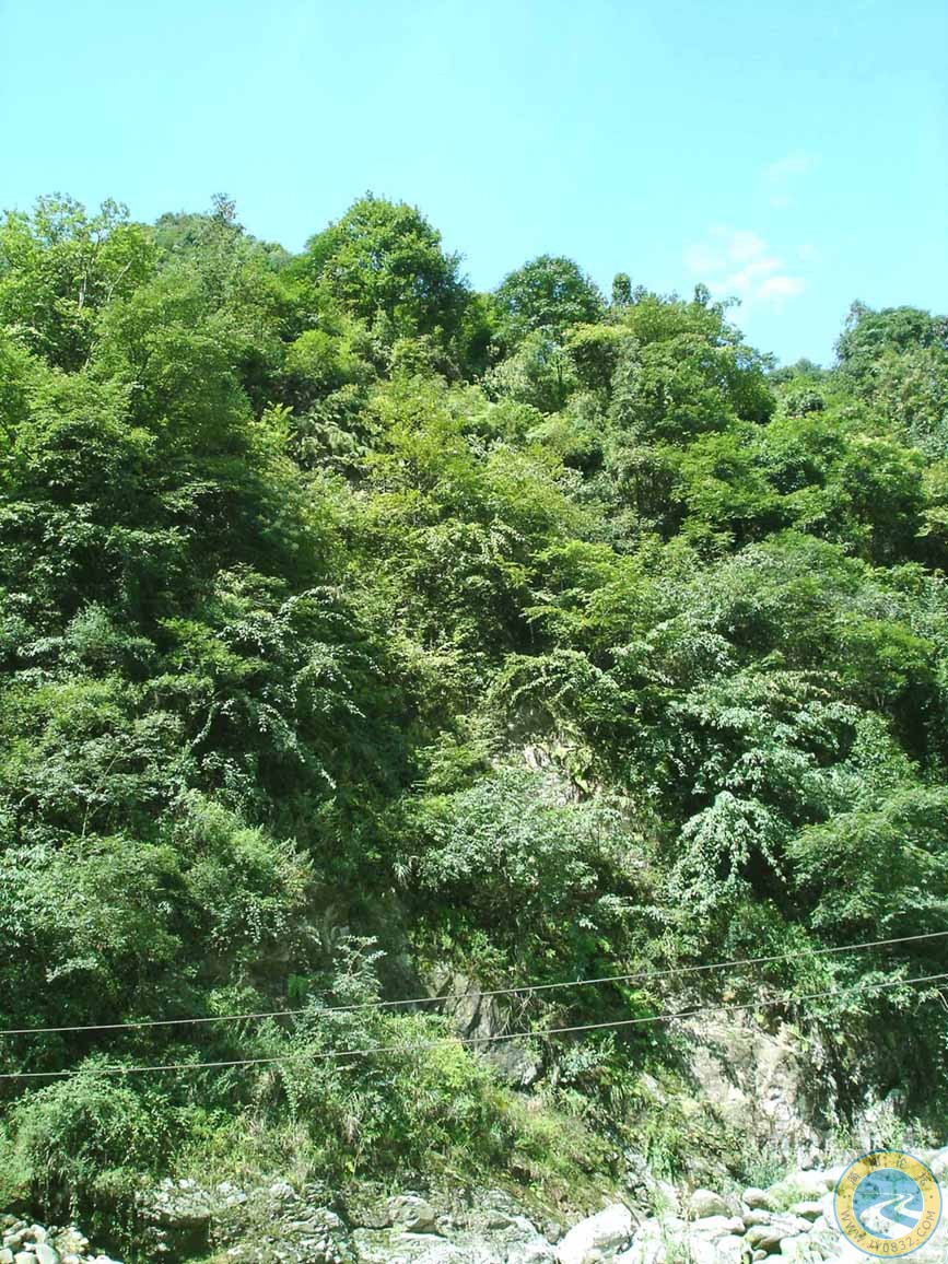 那山～