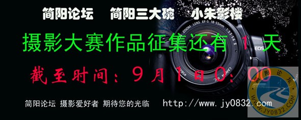 摄影宣传11 拷贝.jpg