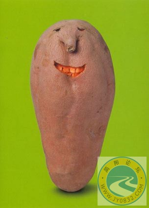 18.jpg