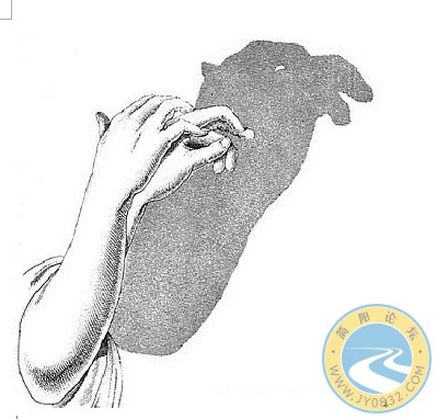 骆驼.jpg