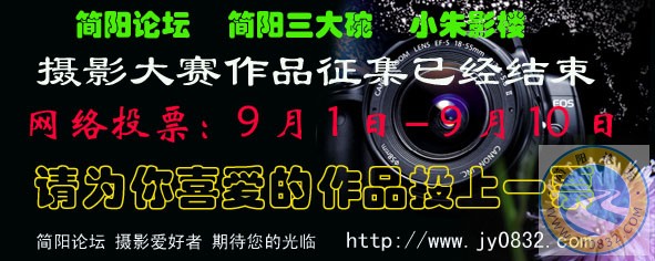 摄影宣传12.jpg