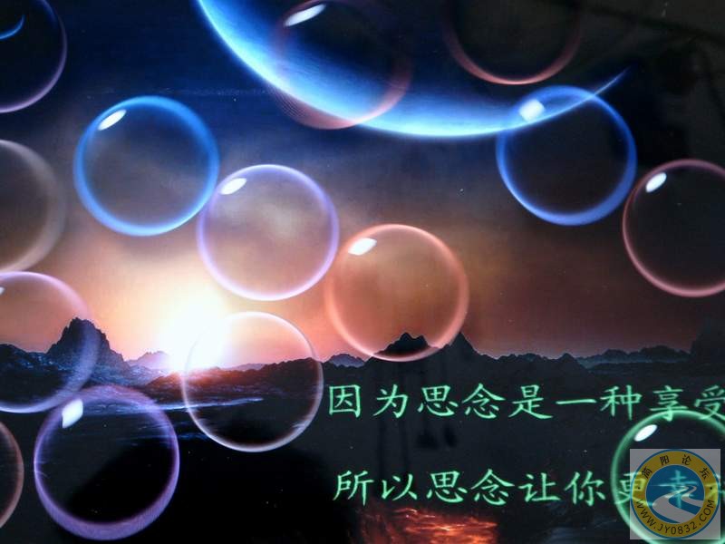 S73R0371.JPG