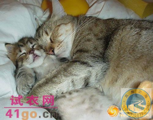 xinsrc_17050131105937262561_JZuMlmFIVUYW.jpg