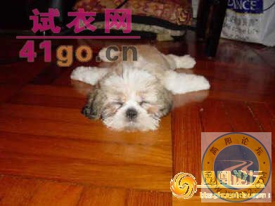 xinsimple_18050131105977919_b4SSDTZCaEUm.jpg