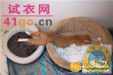 xinsimple_10050131105904426_T4kJToDIlV9O.jpg