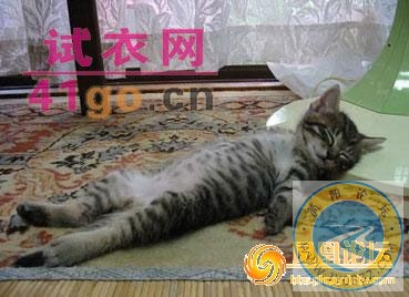 xinsrc_11050131105918527217_TsFqGehZ5YqP.jpg