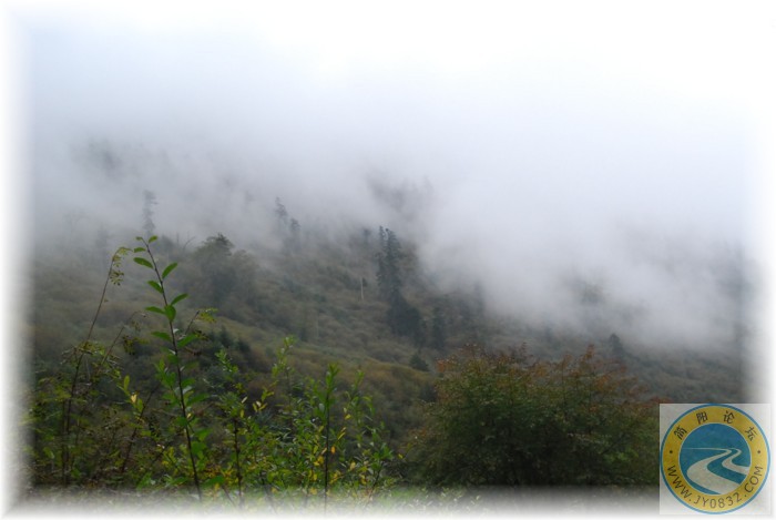 DSC_0179.JPG