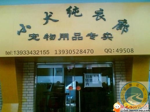 果然牛哦