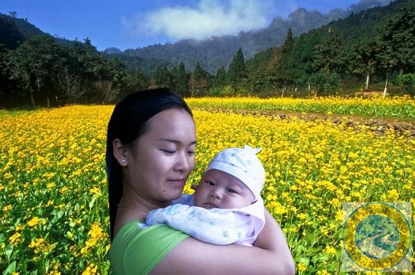 油菜花.JPG
