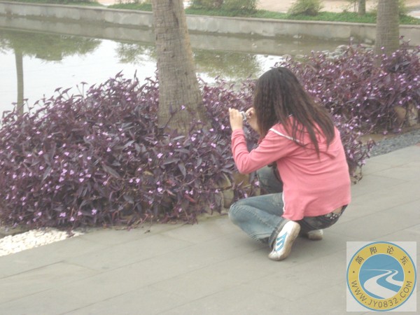 DSC00038红颜祸水一直在不停的到处照花花草草.jpg