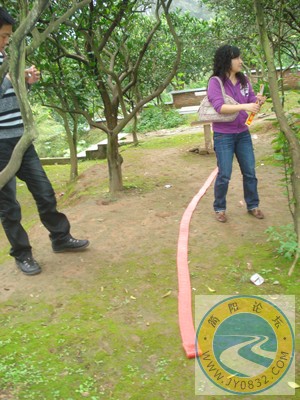 DSC00115加了冰的红茶准备点鞭炮.jpg