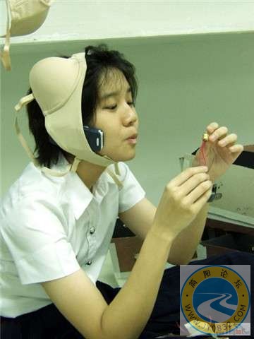 20070708_78f7be7f1dfa28293346ytTxty3pV1ic.jpg