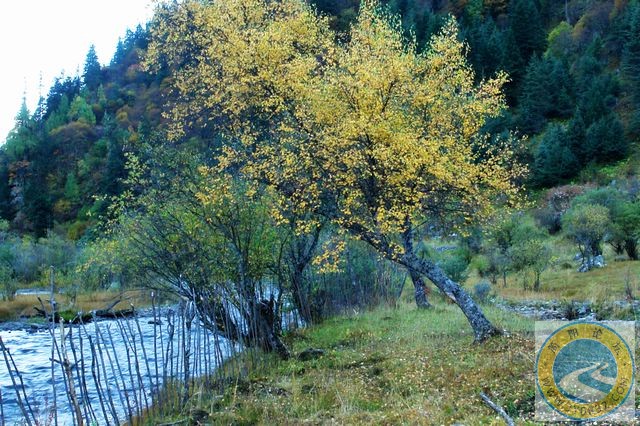 DSC03724.jpg