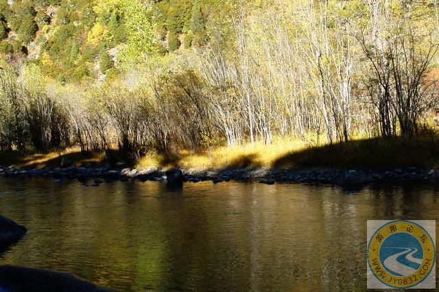 DSC03682.jpg