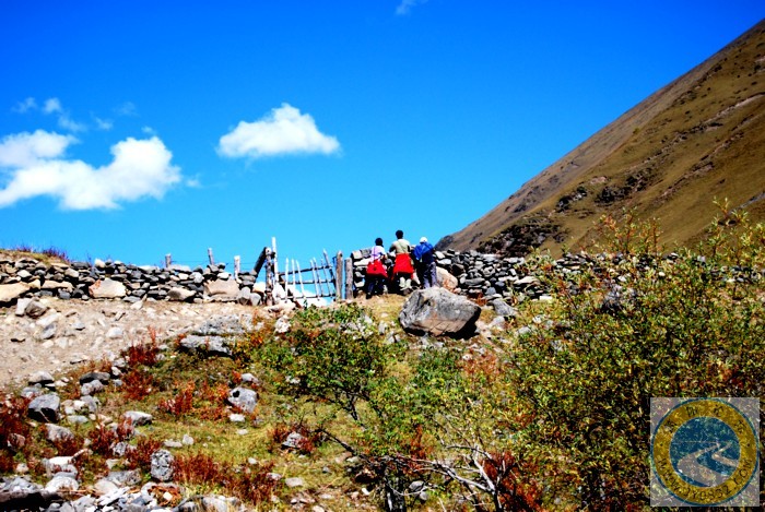 dsc_0484.jpg