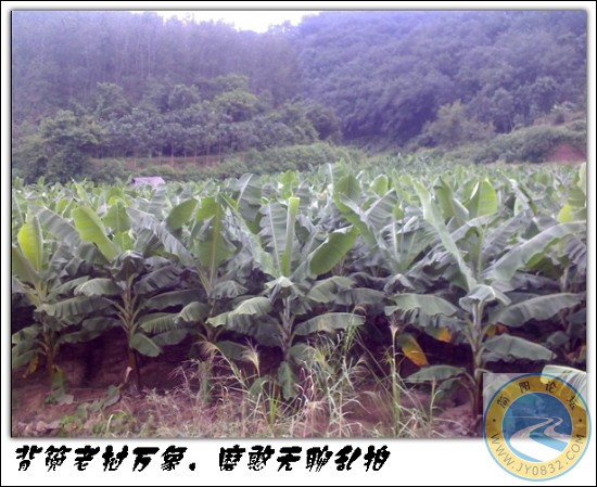 未命名40.jpg
