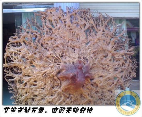 未命名29.jpg
