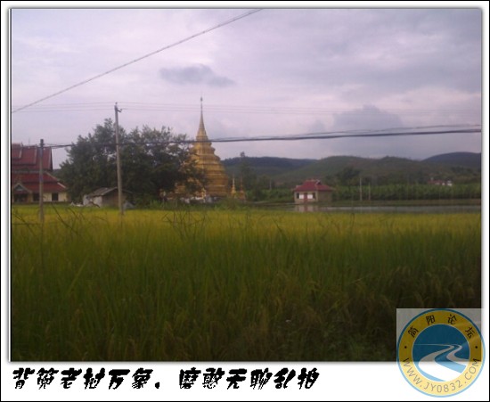 未命名39.jpg