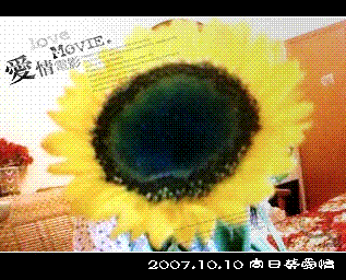 2.GIF