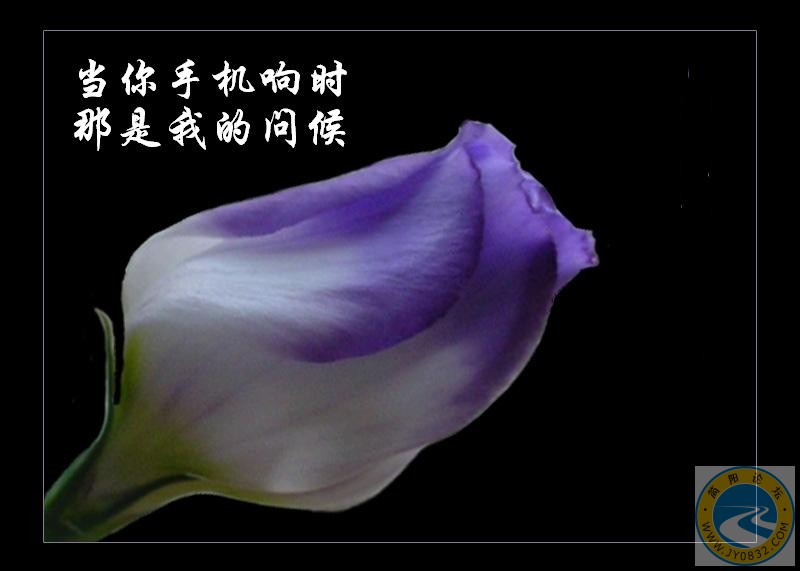 2005521125008.jpg