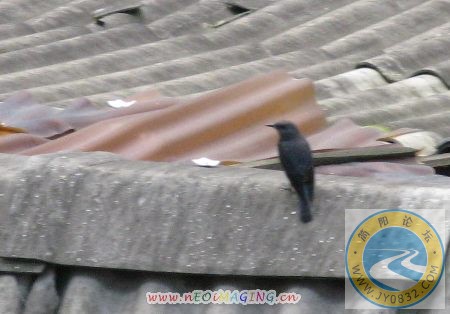 IMG_0653.jpg