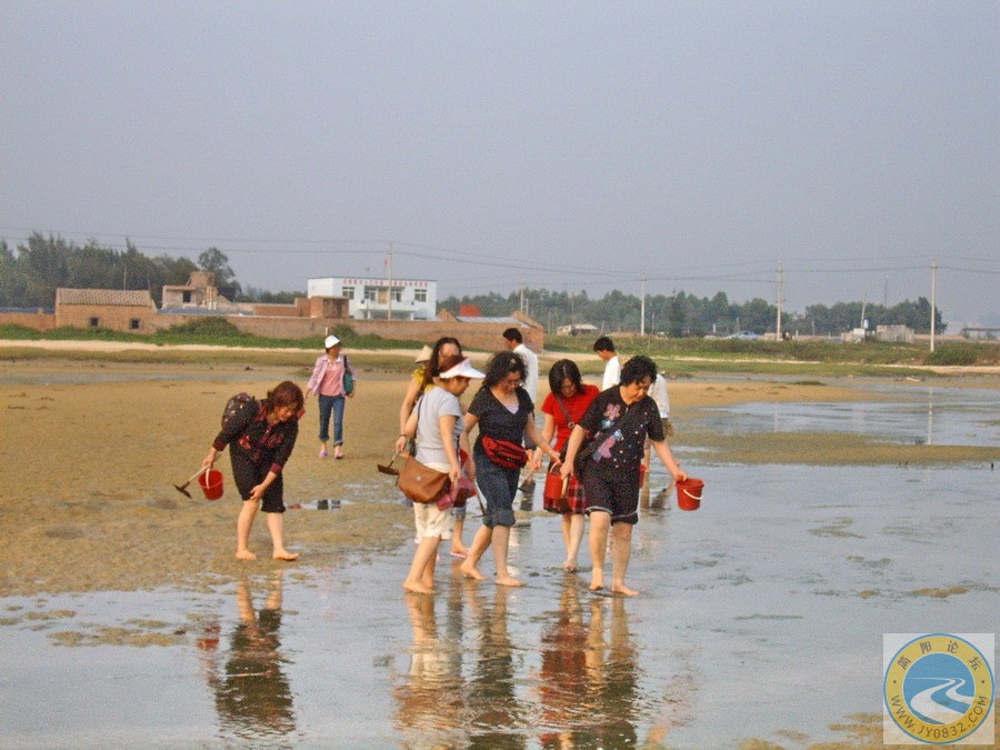 沙滩上挖沙虫.jpg