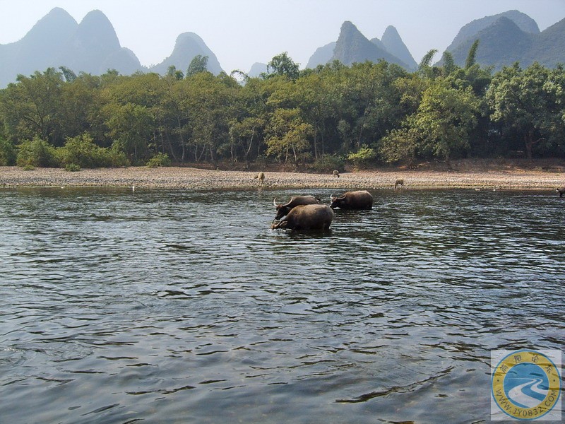 桂林--漓江风光9.jpg
