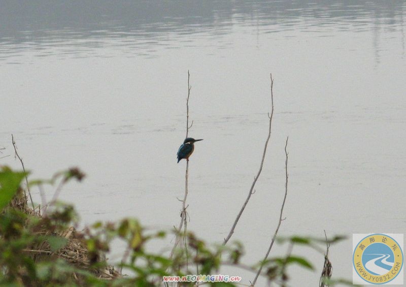 IMG_0778.jpg