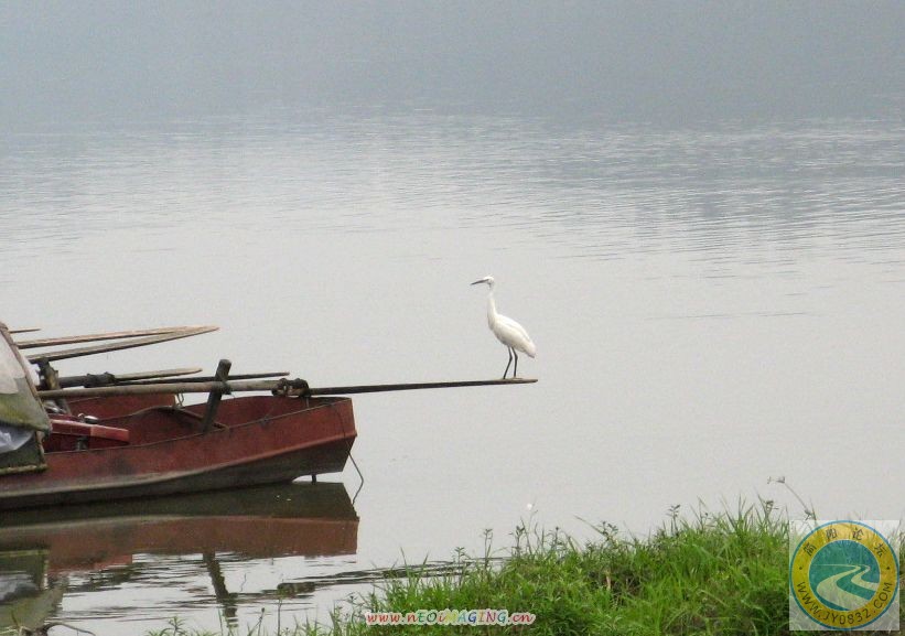 IMG_0773.jpg