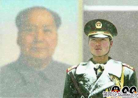 纯.jpg