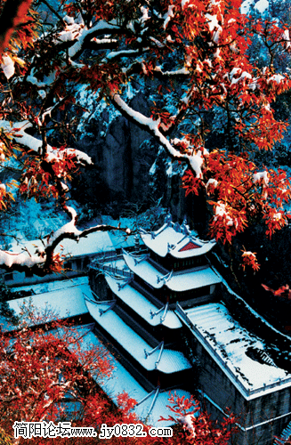 大佛寺.gif