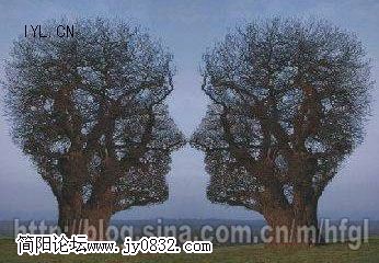 20061231100253502.jpg