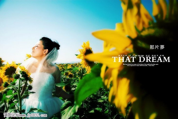 婚纱 (1).jpg
